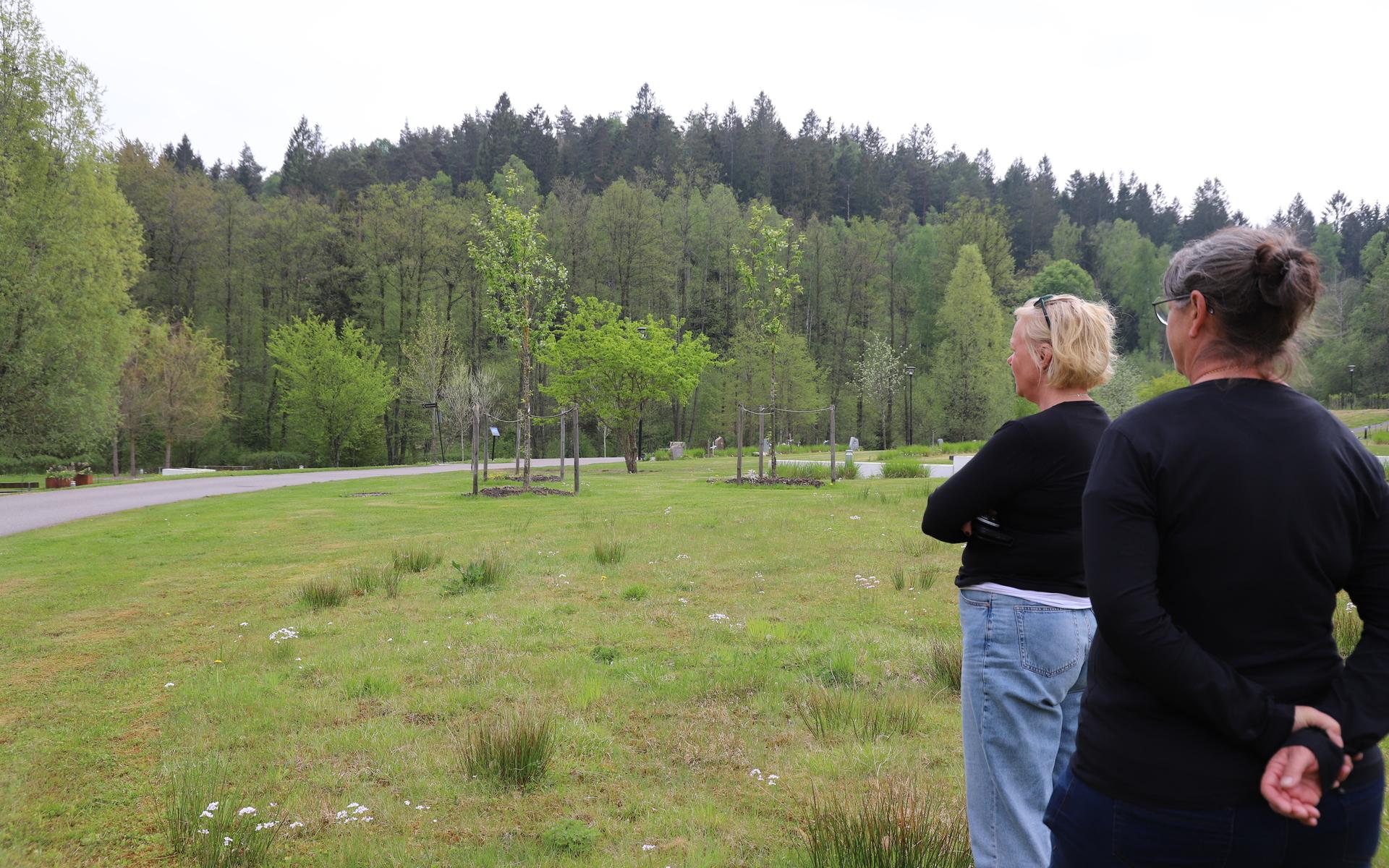 Runtom finns skog och det kan i framtiden bli en skogskyrkogård på Kvastekulla. 