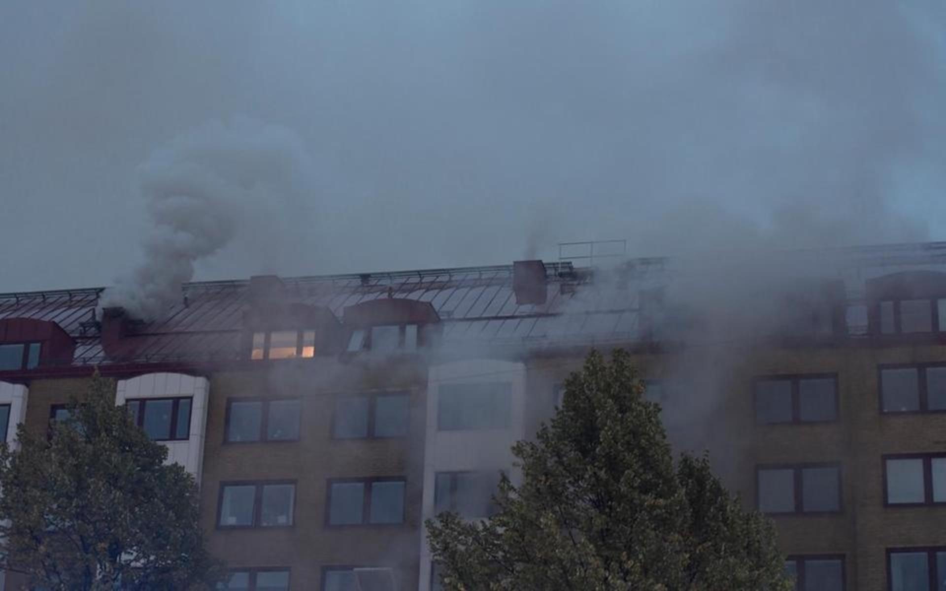 Boende i huset flydde eld och kraftig rök. En del vittnar om att de behövt hoppa från sina balkonger.