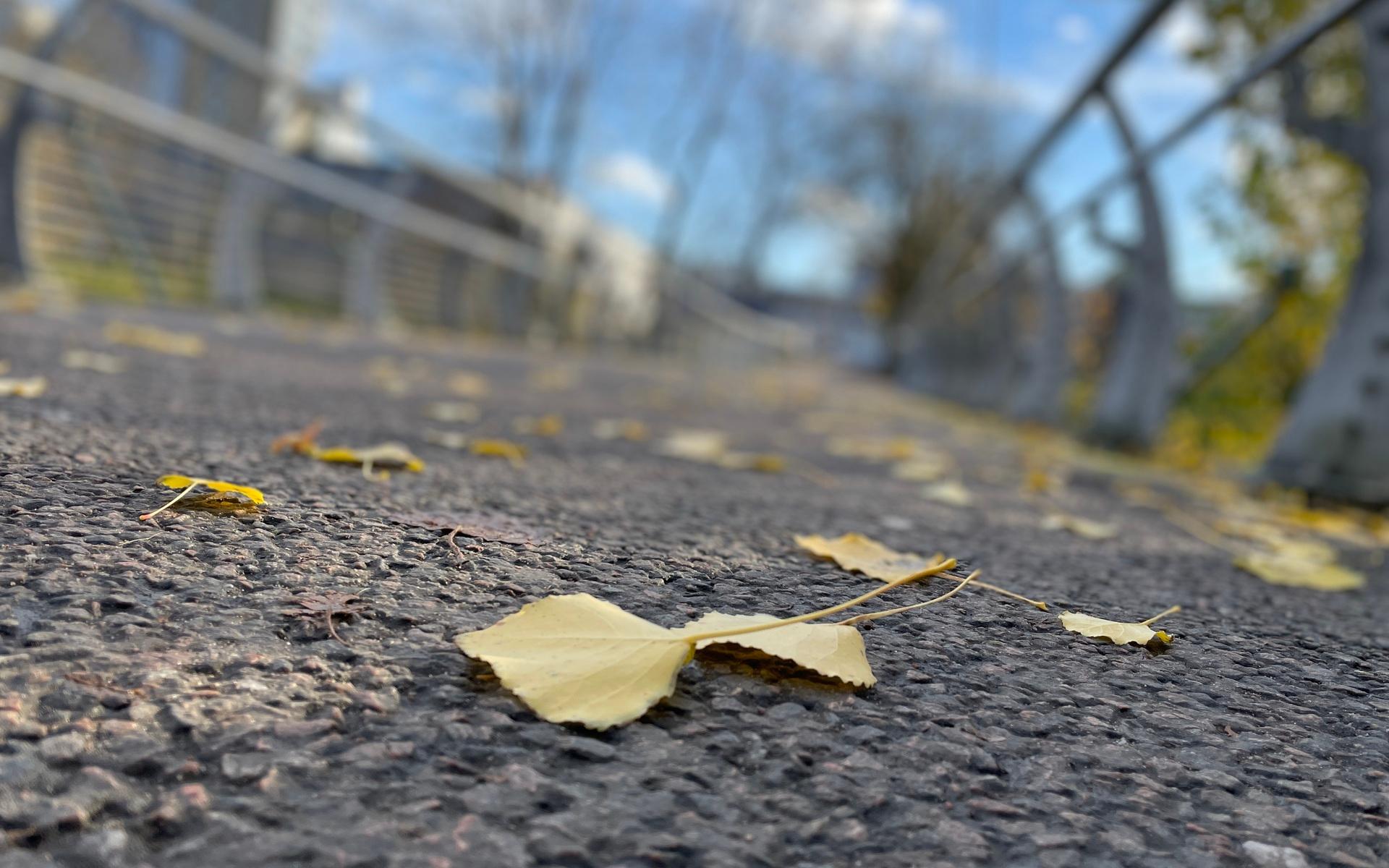 Först i mitten av december räknar kommunen med att alla gator är rensade fån höstens löv. 